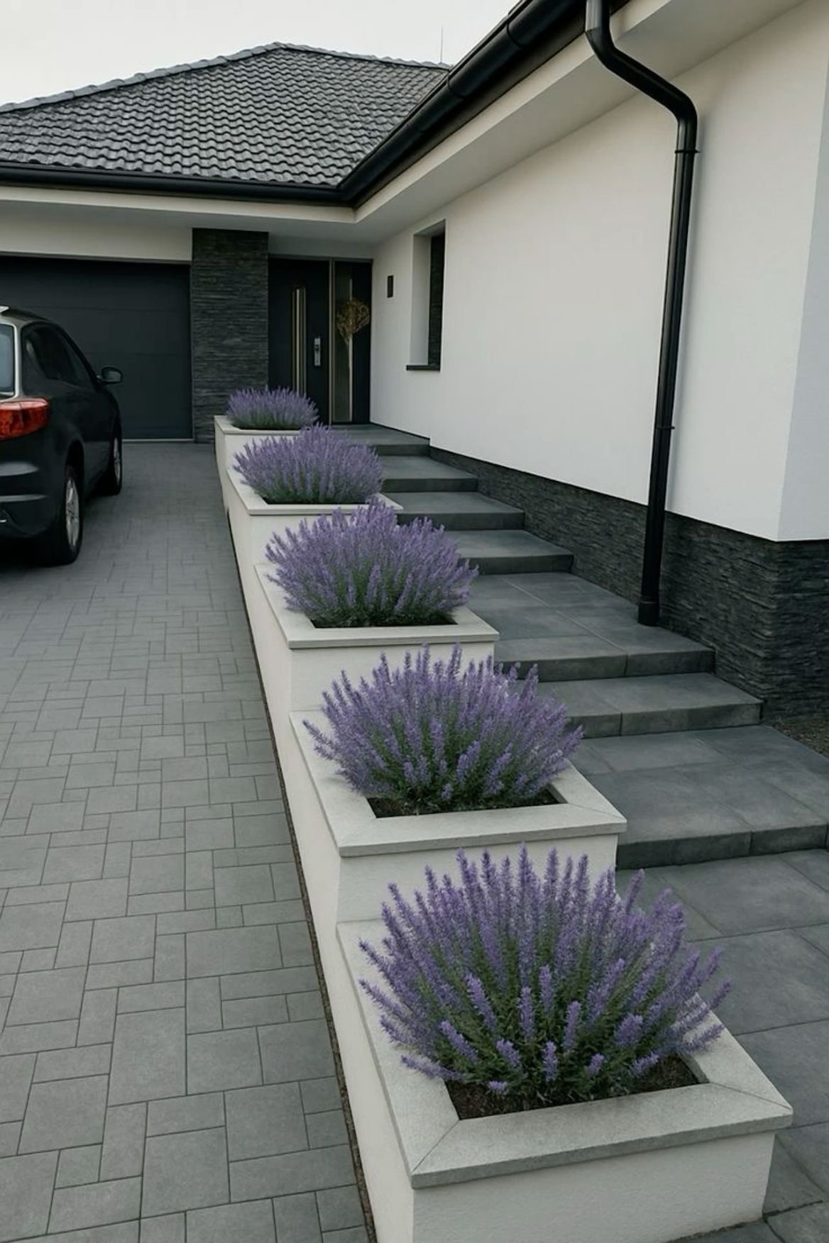 Professionelle Rasenpflege