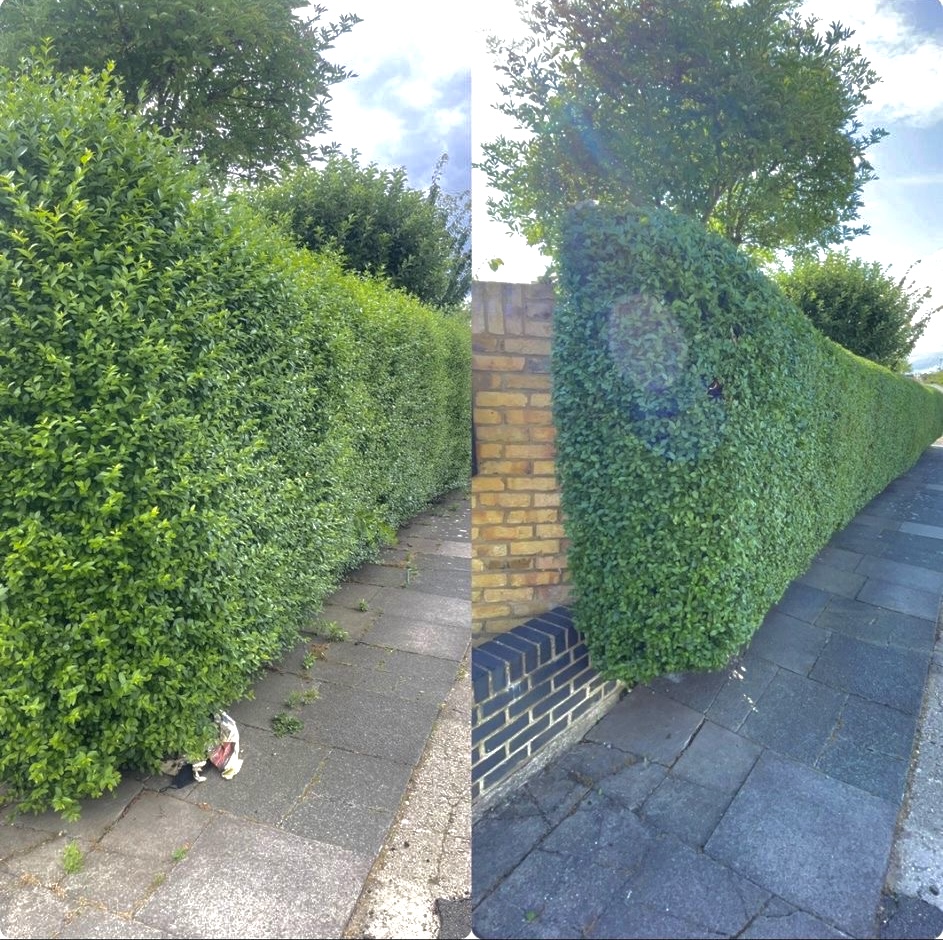 Außenbereich mit Pergola